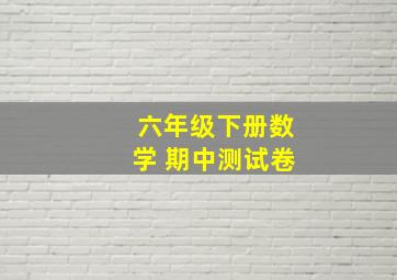 六年级下册数学 期中测试卷